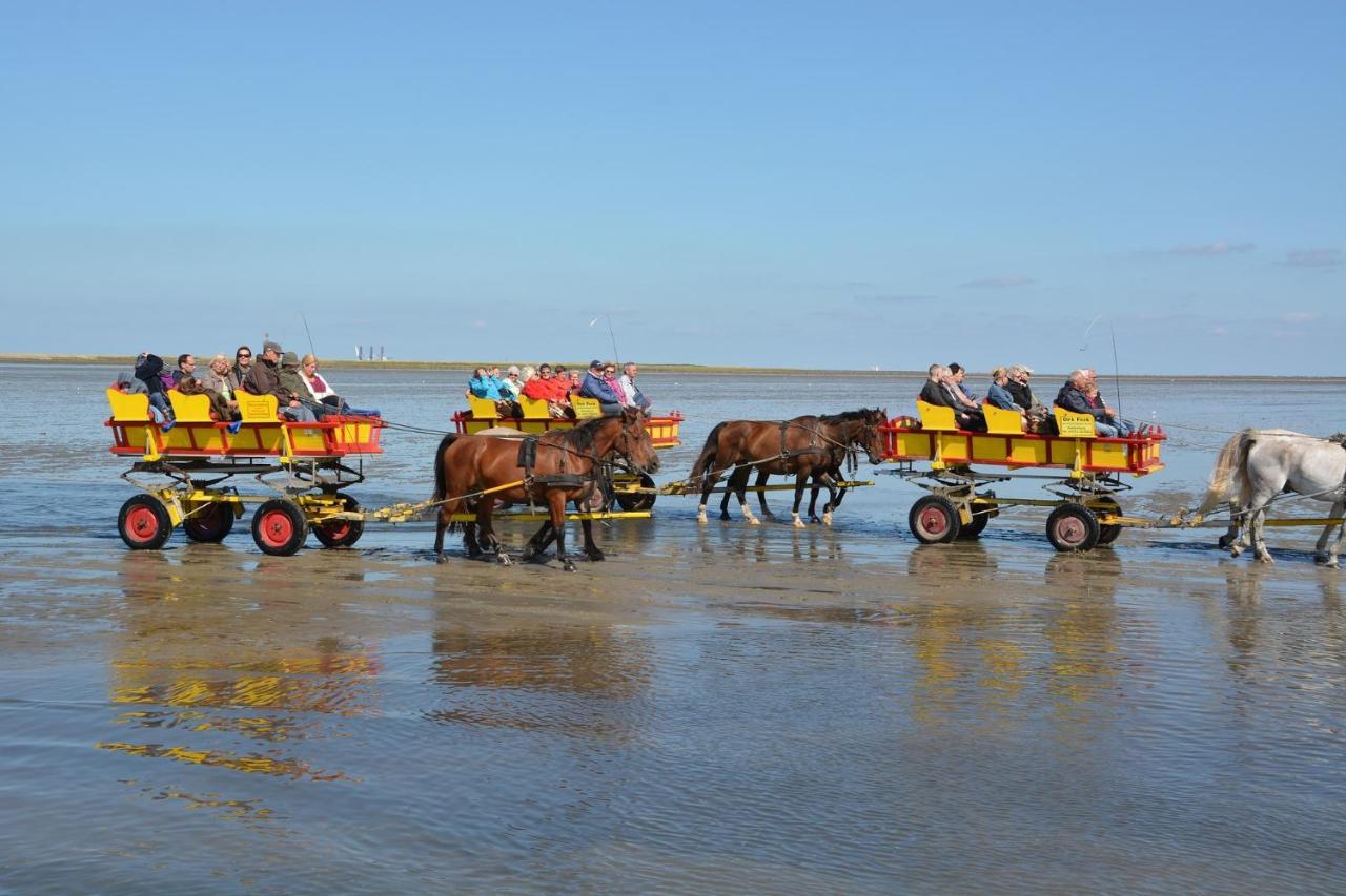 Luettje Huus Frieda Mit Strandkorb Am Strand Von Mai Bis September Apartment Cuxhaven Ngoại thất bức ảnh